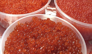 ������� ����� ���� �� 8 ��� ���������