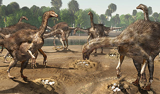 ������ ������� ����� ��� ����������