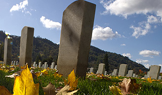 � ������ ���������� �������� ����������