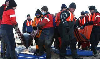 � ��� ������� ����� ���������