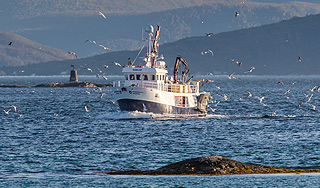 На Чукотке нашли шпионские радиобуи На Чукотке нашли шпионские радиобуи