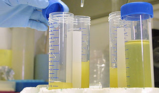 Из Range Rover украли пакет с анализами Из Range Rover украли пакет с анализами