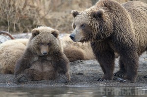 Встреча с Игорем Шпиленком Фото: из блога в Живом Журнале Игоря Шпиленка