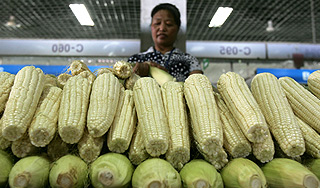 ����� ��������� �� ������������ ��������