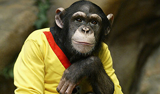 ���������� ���������� �������� � ��������