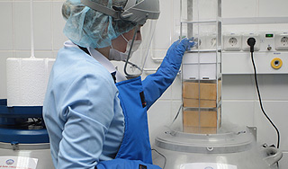 В Японии открылся банк стволовых клеток В Японии открылся банк стволовых клеток