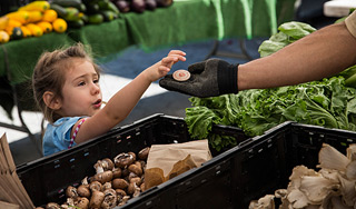 � �������������� ������ ����� ����������