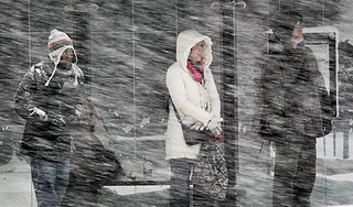 ������� ���� ������������ ���