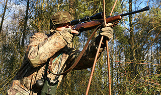 ����� �������� ���������� ���� �������