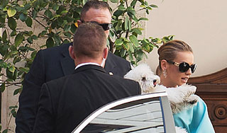 Собака Берлускони стала звездой Интернета Собака Берлускони стала звездой Интернета