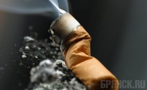 От непотушенных сигарет в Брянской области пострадали несколько человек