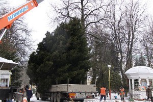 Новый год - не за горами!