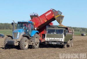 В Брянской области выросли объемы производства сельхозпродукции