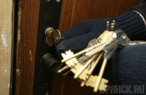 В Брянской области зарегистрировано около 800 квартирных краж
