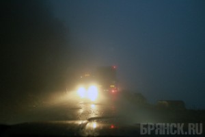 Брянская Госавтоинспекция пожаловались в прокуратуру на бездействие властей