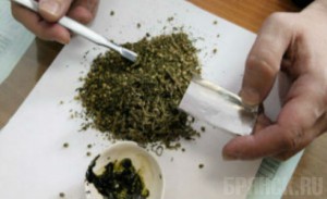 В студенческом общежитии Брянска обнаружили два наркопритона