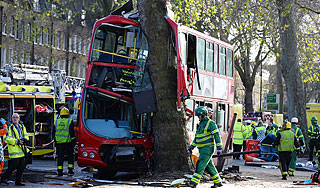 Автобус протаранил дерево в Лондоне Автобус протаранил дерево в Лондоне