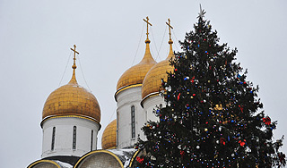 Главную елку страны установили в Москве Главную елку страны установили в Москве
