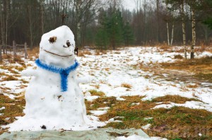 Брянск может встретить Новый год без снега