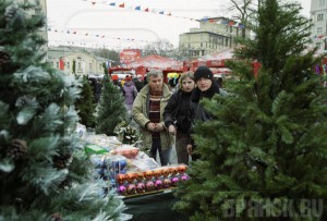 Где купить Новогоднюю елку?