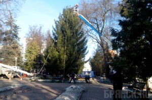 В Брянске поменяли главную городскую ёлку