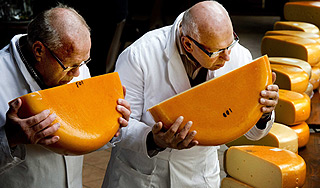 Россия забраковала 11 тонн польского сыра Россия забраковала 11 тонн польского сыра