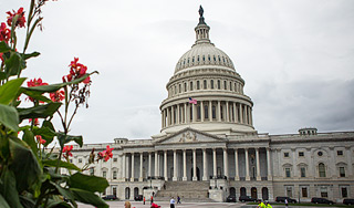В Капитолии нелегально скачивали порно В Капитолии нелегально скачивали порно
