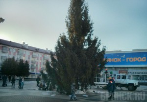 В Брянске на площади Партизан вместо катка установили новогоднюю елку Фото: vk.com