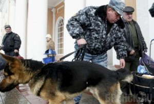 В Брянской области усилили меры безопасности