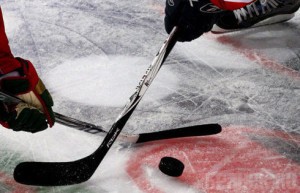 Брянские хоккеисты разгромили «Морских Львов»