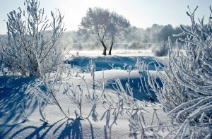 Городской выставочный зал приглашает на поэтический вечер