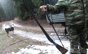 «Охотники-нелегалы» пойманы в брянском заповеднике Фото: Заповедник "Брянский лес"