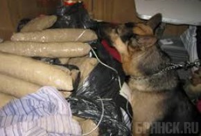 За год Брянской таможней возбуждено 320 уголовных дел по контрабанде наркотиков