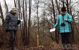 В заповеднике «Брянский лес» пересчитали зимующих птиц Фото: Заповедник "Брянский лес"