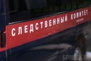 В Брянской области нашли тело новорожденного ребенка