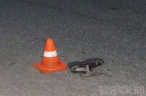 На Брянской трассе насмерть сбили женщину