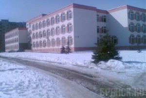 Брянскую гимназию хотели заставить платить за упавшую ветку дерева