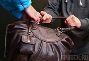 В Брянске грабители вырвали сумку из рук пенсионерки