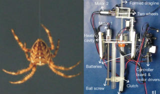 Робота-паука научили трюкам Робота-паука научили трюкам