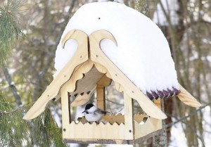 Заповедник «Брянский лес» призывает делать кормушки Фото: Заповедник "Брянский лес"