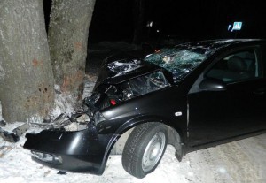 На брянской трассе иномарка «влетела» в дерево Фото: Госавтоинспекция МВД России