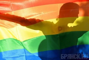 Брянскую школьницу обвинили в пропаганде гомосексуализма