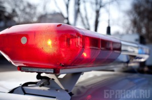 Мужчина отрезал брату половой член за угрозу изнасилования