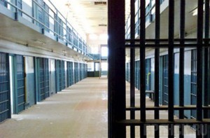 Колючая проволока не помешала брянцу организовать крупный наркобизнес