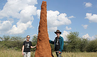 Роботы-термиты сами построили стену Роботы-термиты сами построили стену