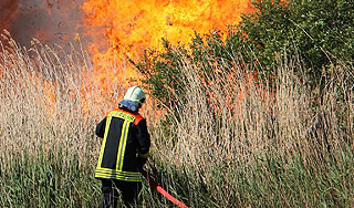 В 2014 году мир ждут засуха и пожары В 2014 году мир ждут засуха и пожары