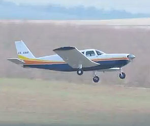 Гусь врезался в летящий самолет Гусь врезался в летящий самолет