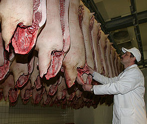 Москва запретила свинину из США Москва запретила свинину из США