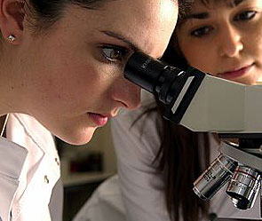 Человечеству угрожают опасные вирусы Человечеству угрожают опасные вирусы