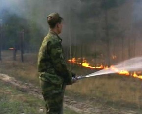 В Брянске горят леса Тушение лесного пожара